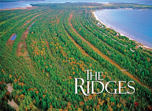 Ridges Fridge Magnet