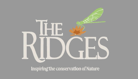 Ridges Dragonfly T-shirt